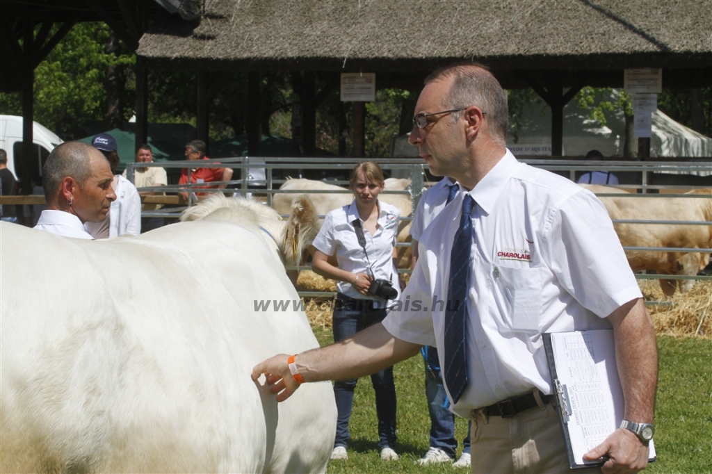 Hódmezővásárhely 2013