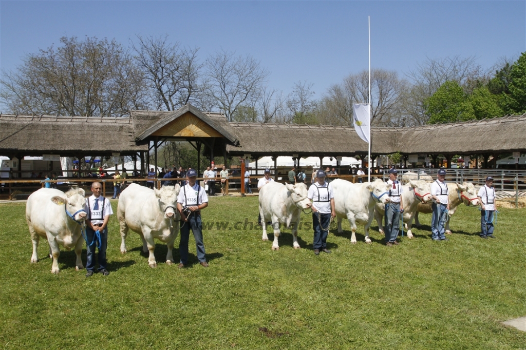 Hódmezővásárhely 2013