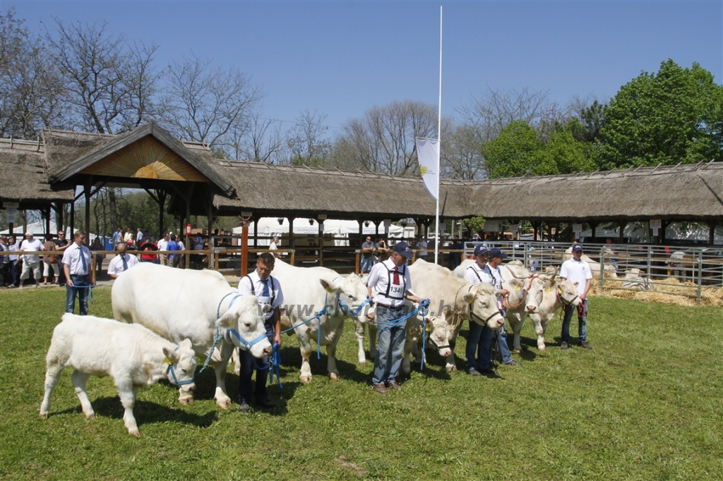 Hódmezővásárhely 2013