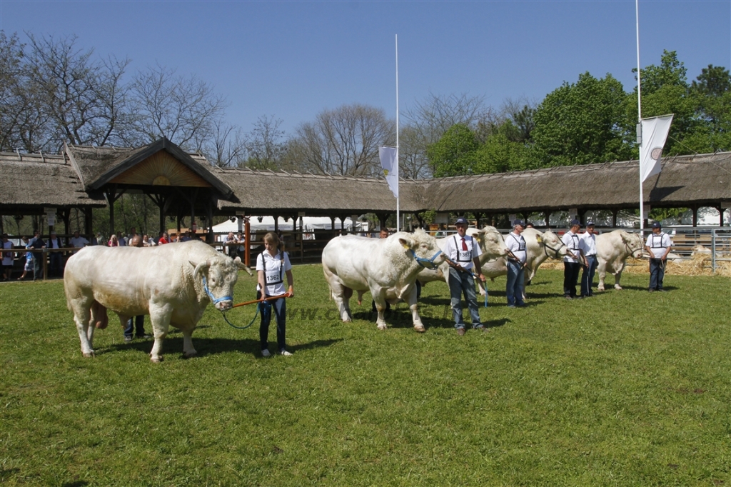 Hódmezővásárhely 2013