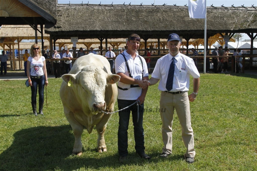 Hódmezővásárhely 2013