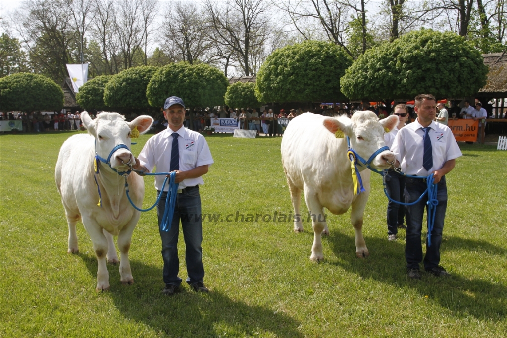 Hódmezővásárhely 2013