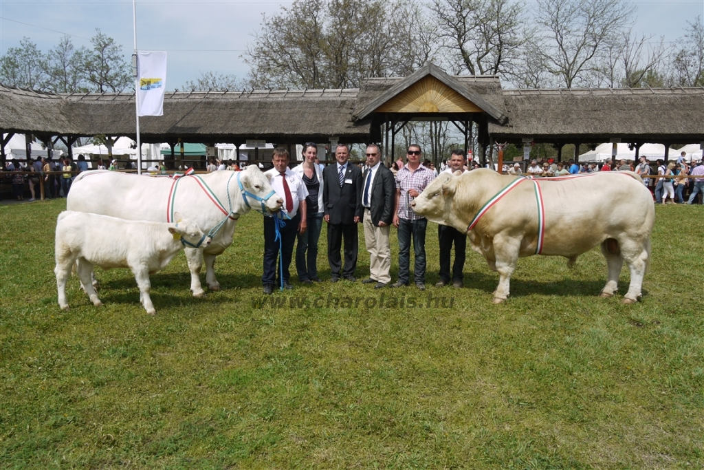 Hódmezővásárhely 2013