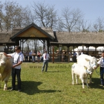 Hódmezővásárhely 2013