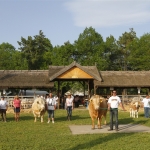 Hódmezővásárhely 2013