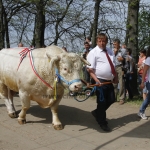 Hódmezővásárhely 2013