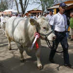 Hódmezővásárhely 2013