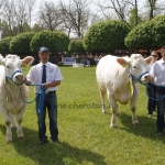Hódmezővásárhely 2013