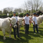 Hódmezővásárhely 2013