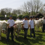 Hódmezővásárhely 2013