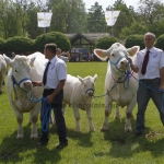 Hódmezővásárhely 2013