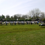 Hódmezővásárhely 2013