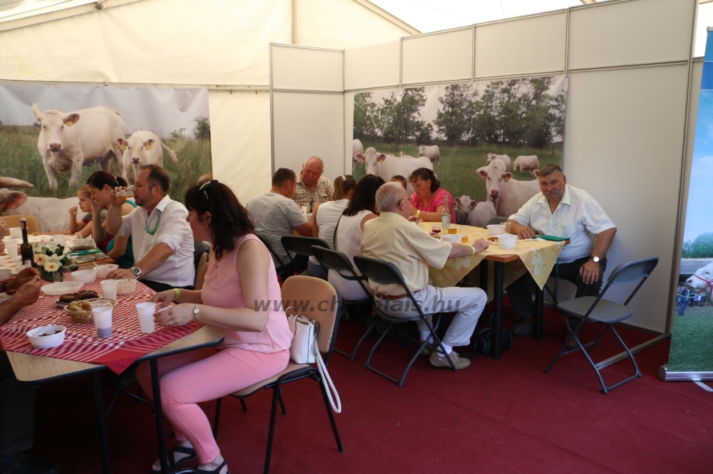 Hódmezővásárhely 2018