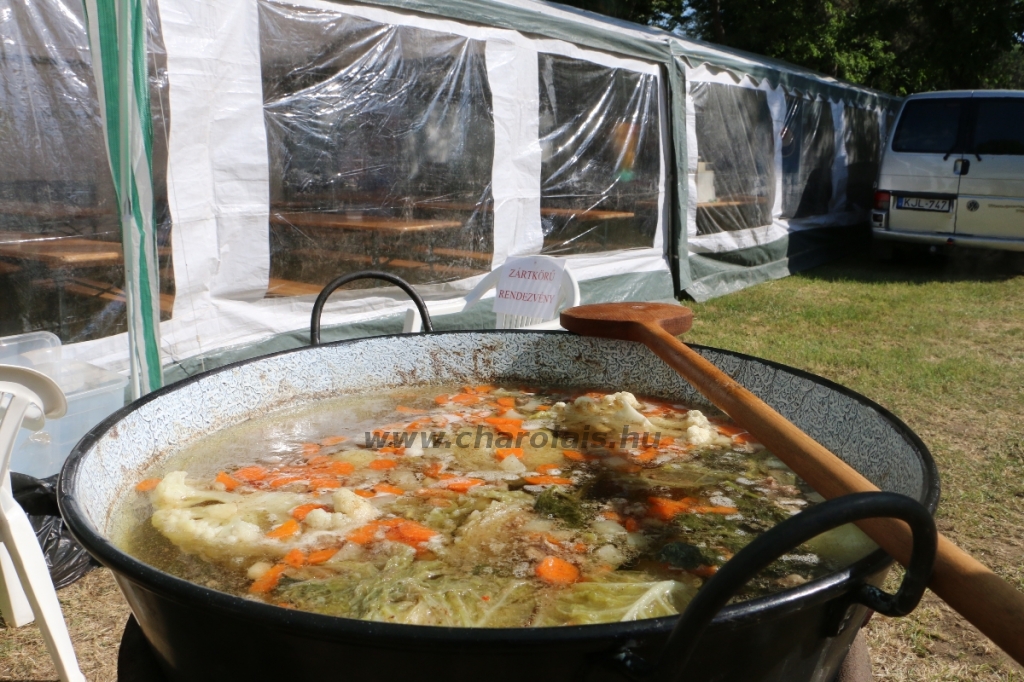 Hódmezővásárhely 2018