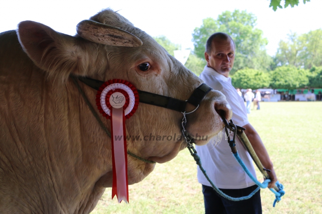 Hódmezővásárhely 2018