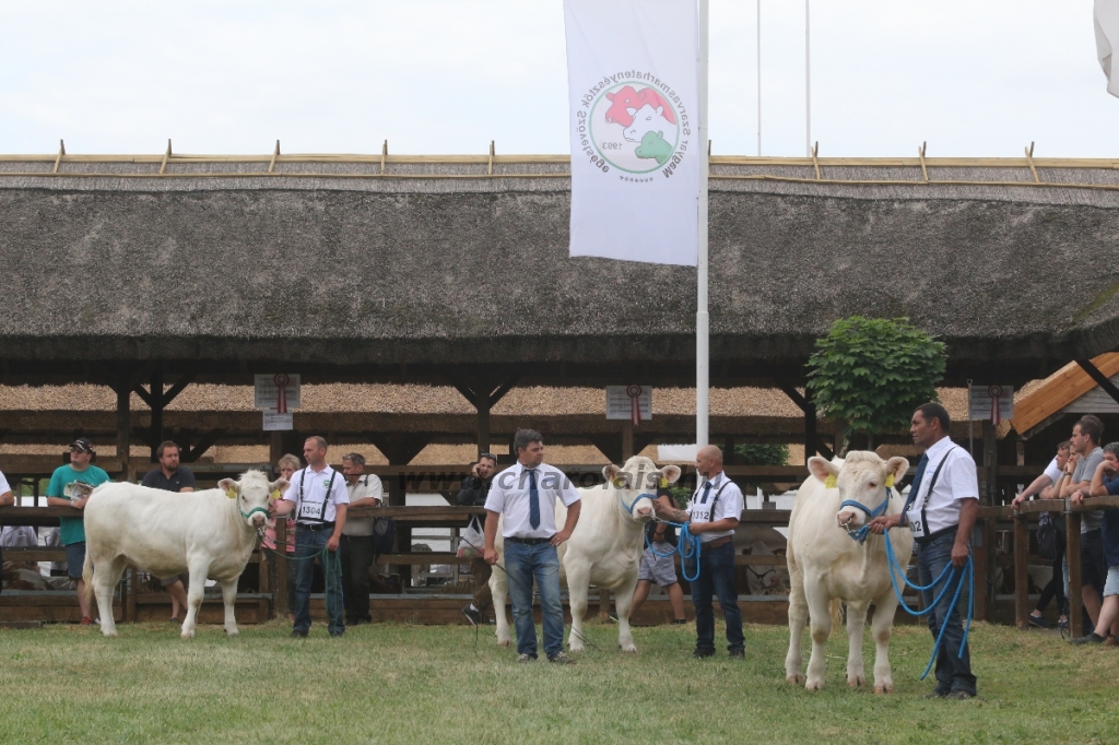 Hódmezővásárhely 2018