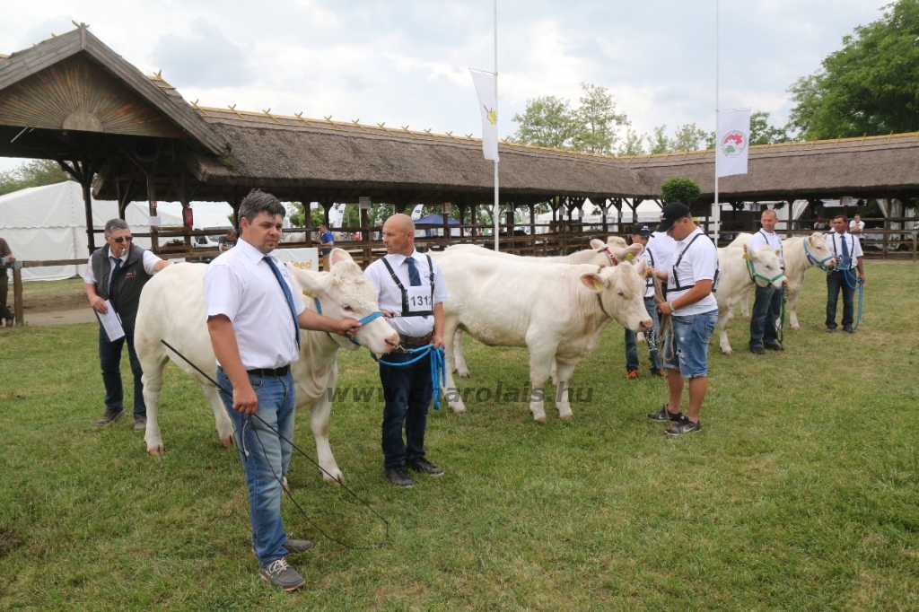 Hódmezővásárhely 2018