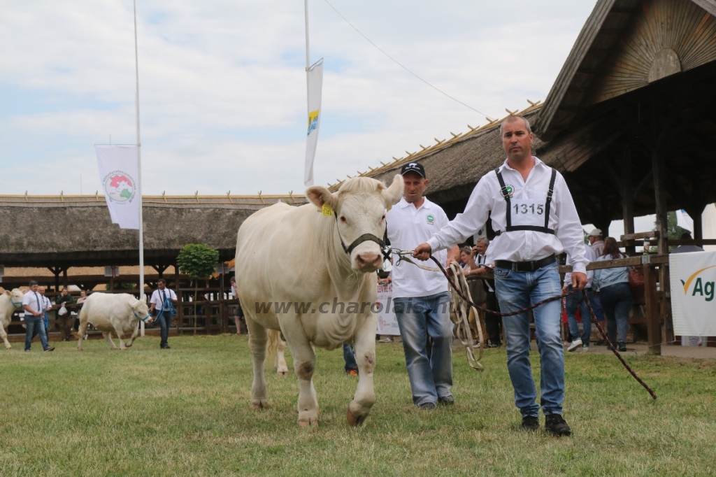 Hódmezővásárhely 2018