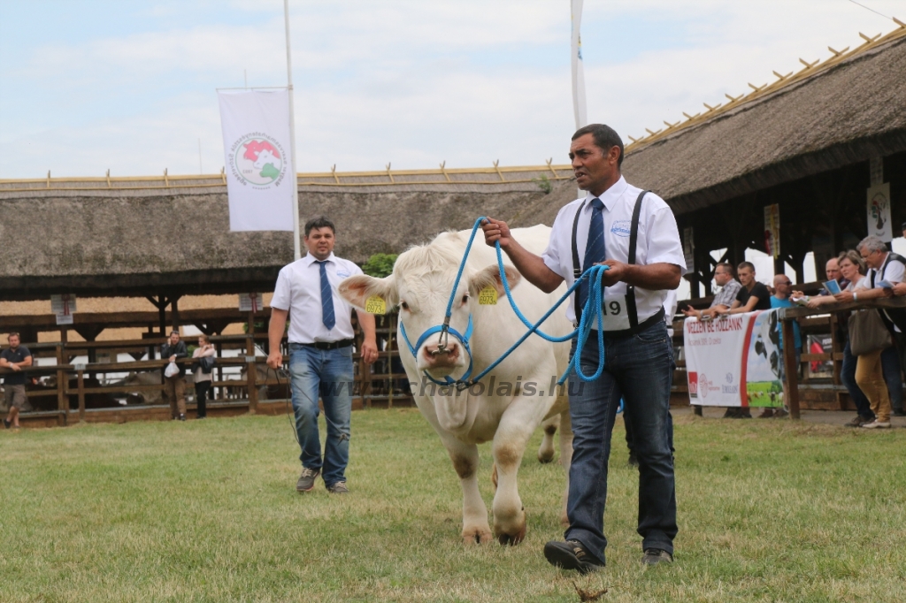 Hódmezővásárhely 2018