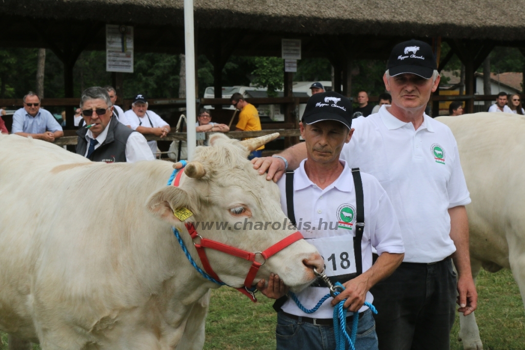 Hódmezővásárhely 2018