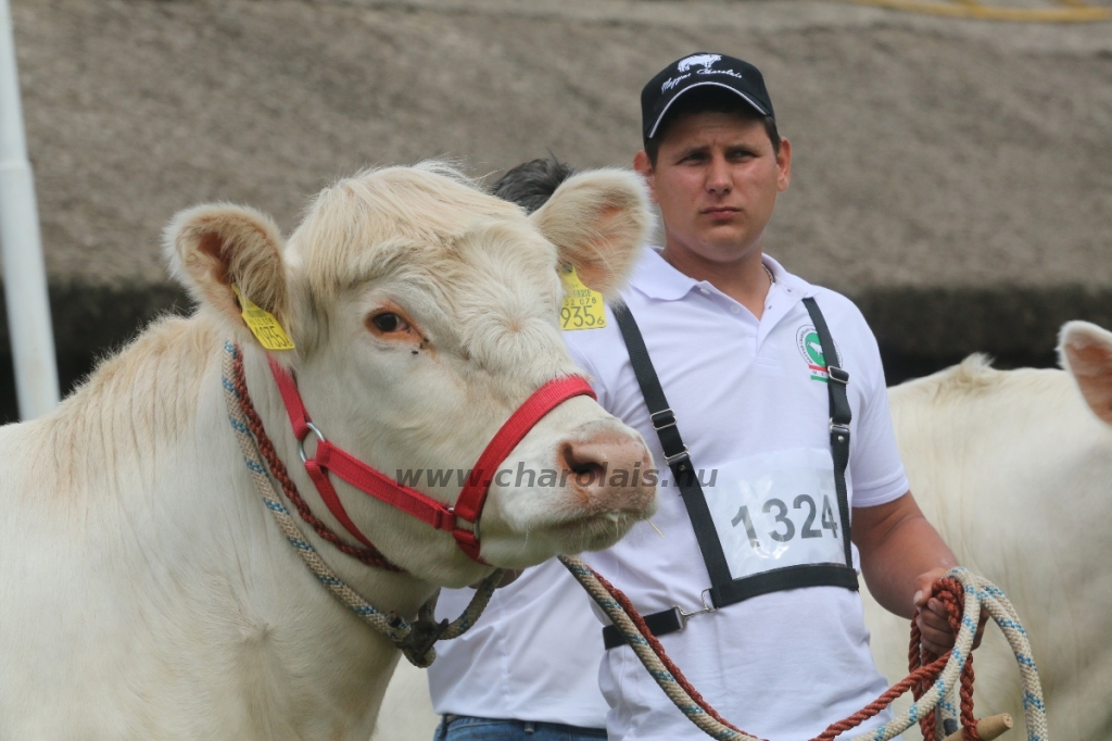 Hódmezővásárhely 2018