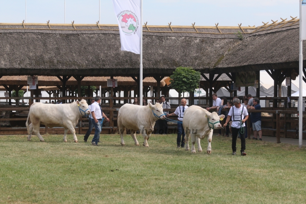 Hódmezővásárhely 2018