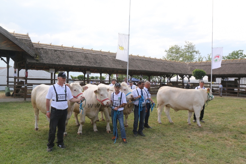 Hódmezővásárhely 2018