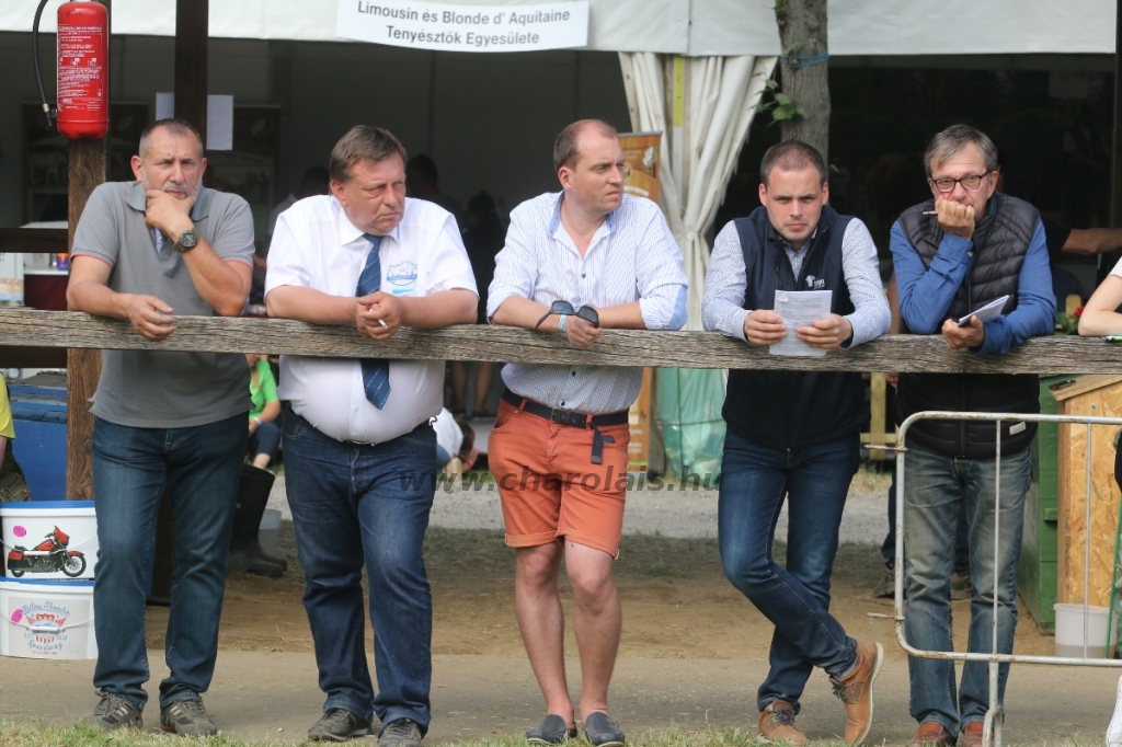 Hódmezővásárhely 2018