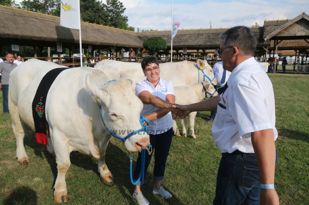 Hódmezővásárhely 2018