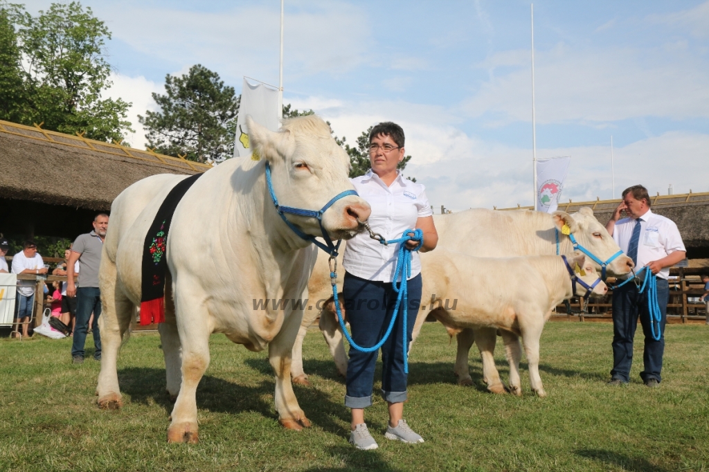 Hódmezővásárhely 2018