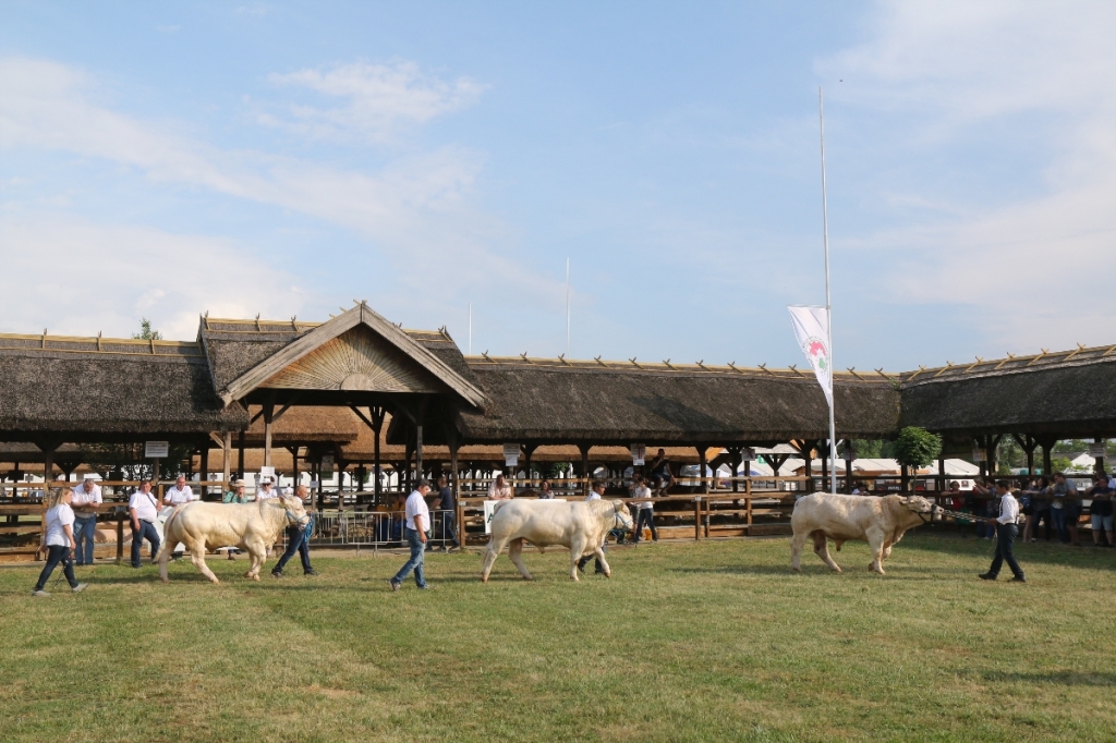 Hódmezővásárhely 2018