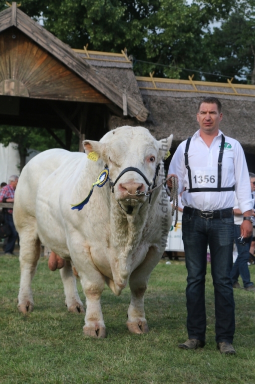 Hódmezővásárhely 2018