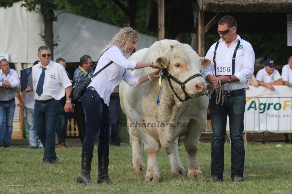 Hódmezővásárhely 2018