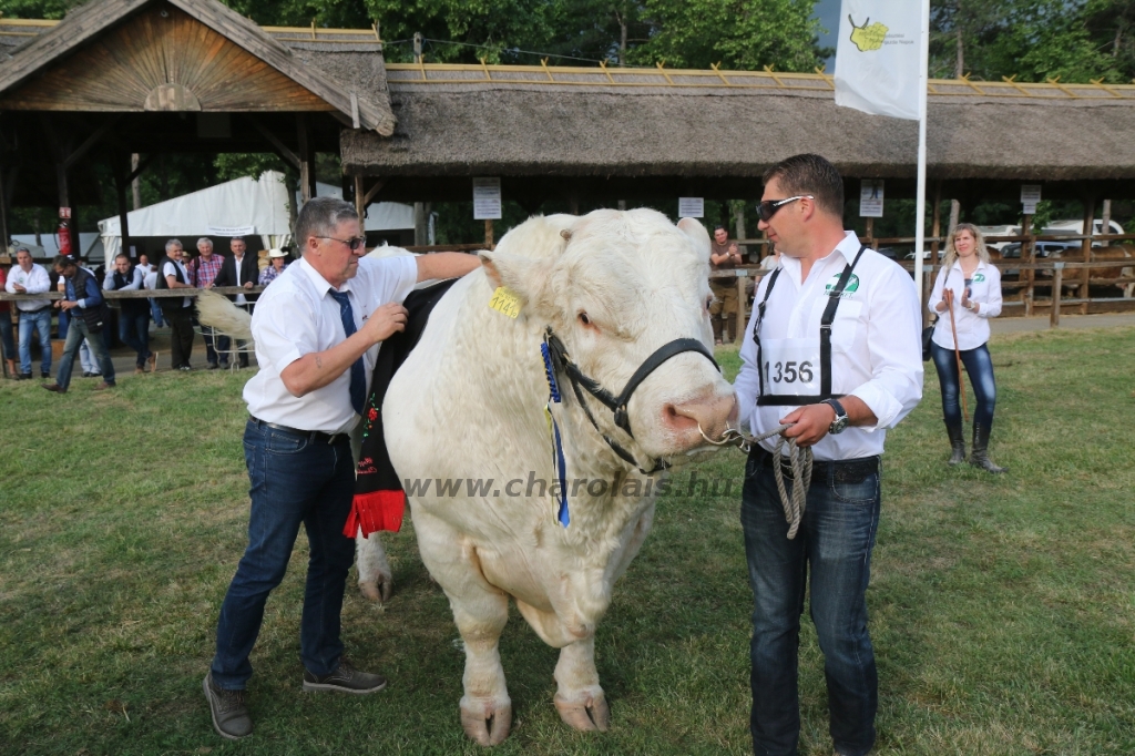 Hódmezővásárhely 2018