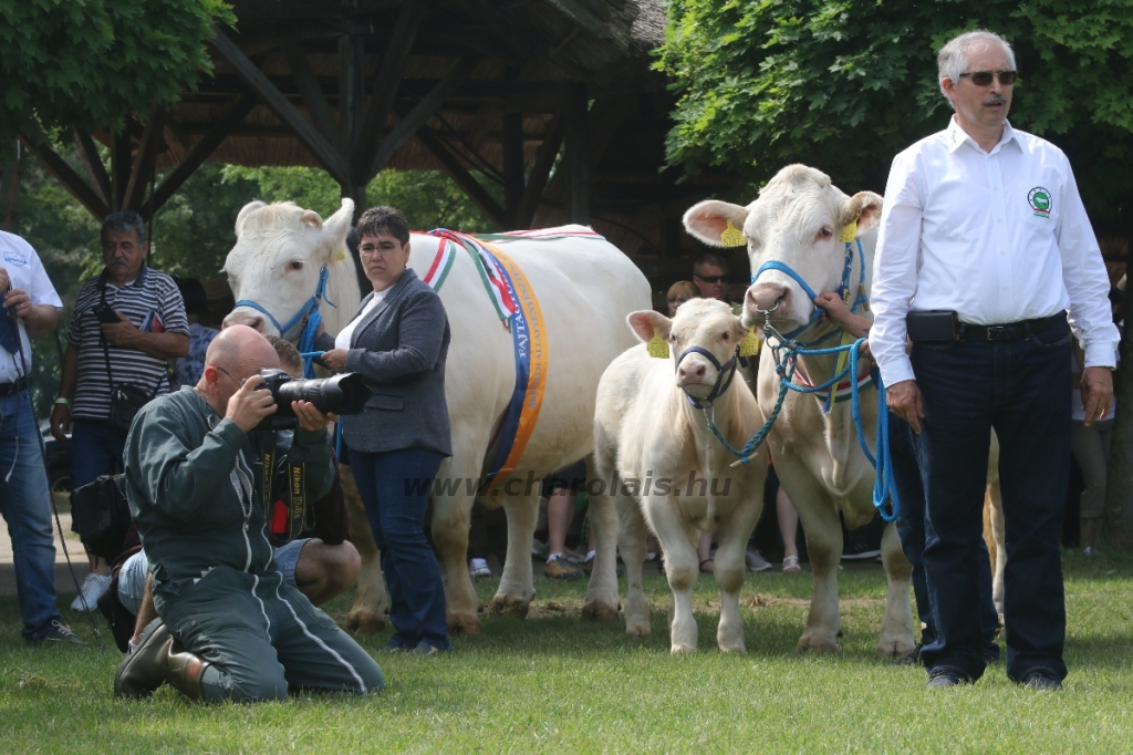 Hódmezővásárhely 2018