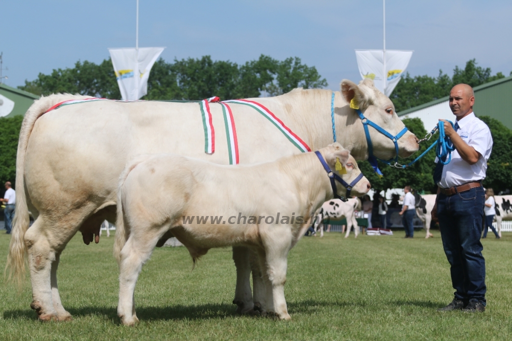 Hódmezővásárhely 2018