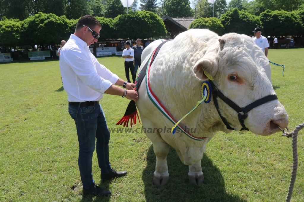 Hódmezővásárhely 2018