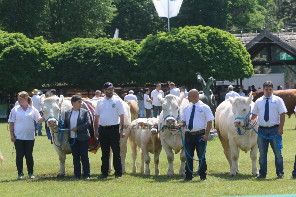 Hódmezővásárhely 2018