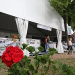 Hódmezővásárhely 2018