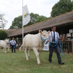 Hódmezővásárhely 2018