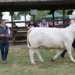Hódmezővásárhely 2018