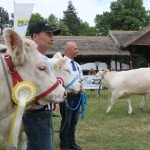 Hódmezővásárhely 2018