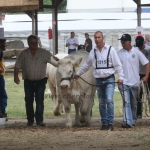 Hódmezővásárhely 2018