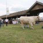 Hódmezővásárhely 2018