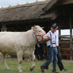 Hódmezővásárhely 2018