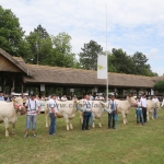 Hódmezővásárhely 2018