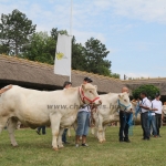 Hódmezővásárhely 2018