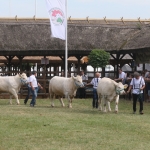 Hódmezővásárhely 2018