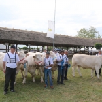 Hódmezővásárhely 2018