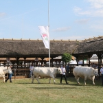 Hódmezővásárhely 2018